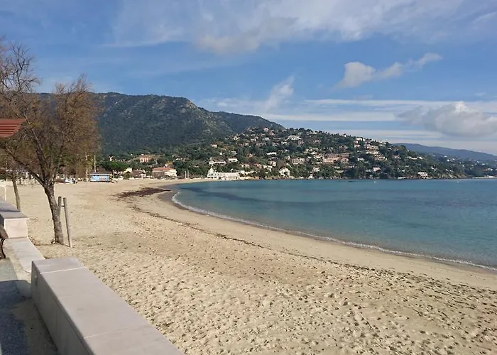 아파트 L'amiraute 150m De La 봄레미모사